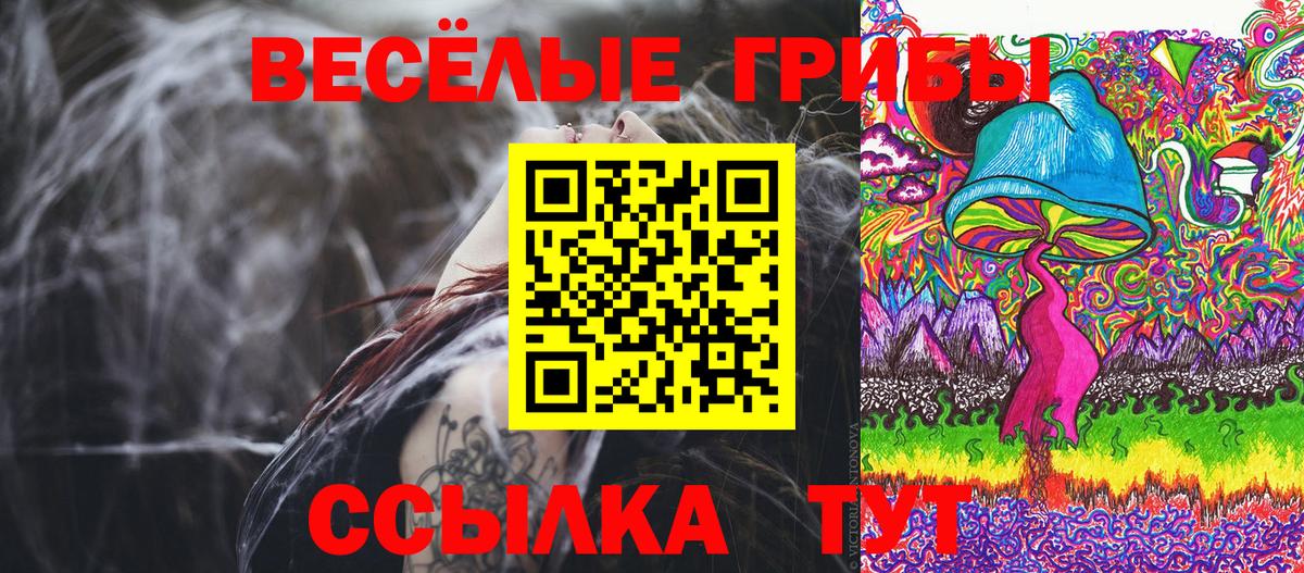 Галлюциногенные грибы Psilocybe Шебекино